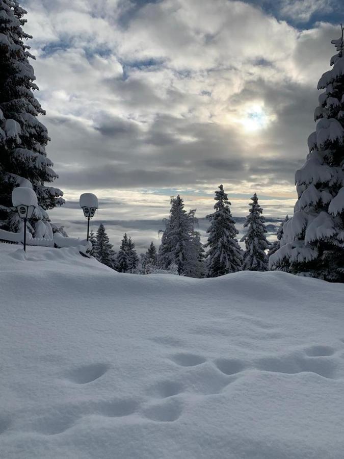 Hundefreundliche Bergwohnung Neben Der Skipiste - Mittelstation Skigebiet Gerlitzen Kanzelhohe Exteriér fotografie