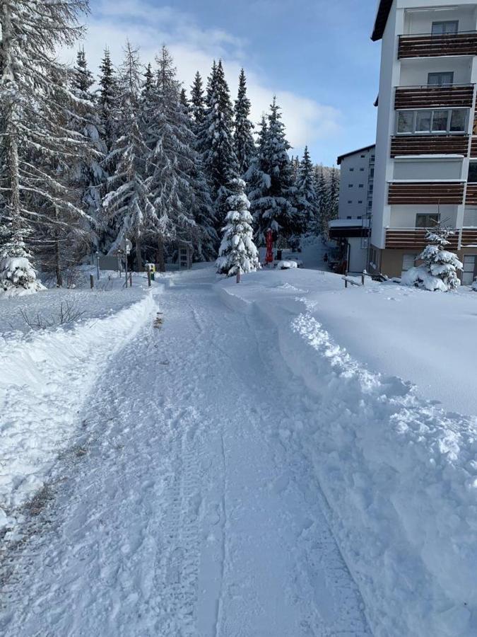 Hundefreundliche Bergwohnung Neben Der Skipiste - Mittelstation Skigebiet Gerlitzen Kanzelhohe Exteriér fotografie