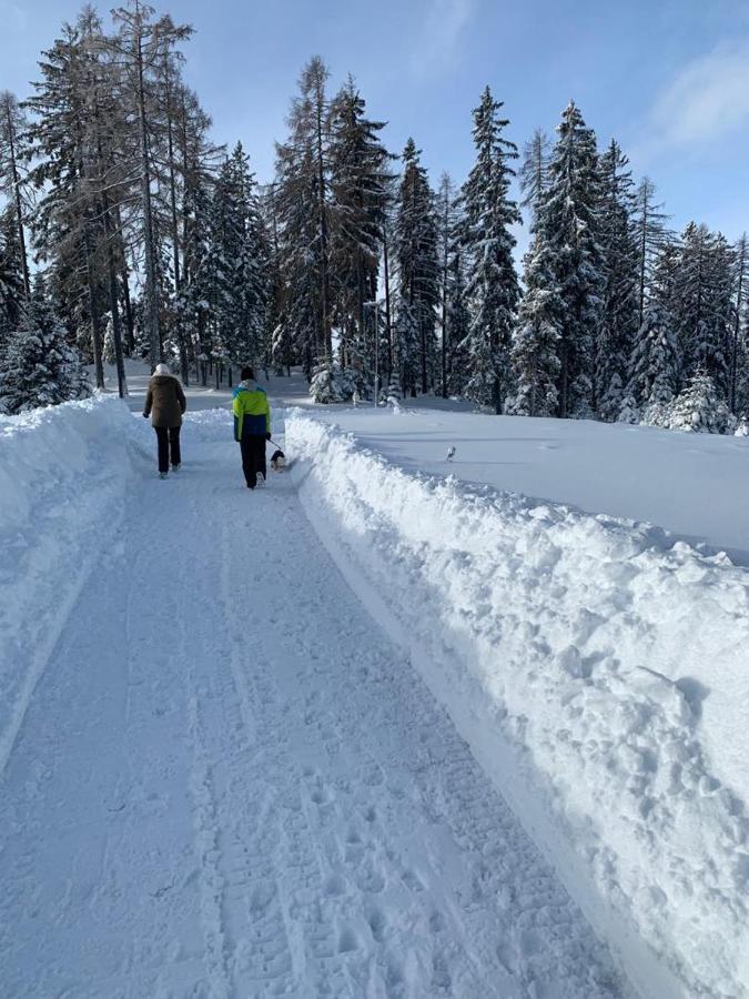 Hundefreundliche Bergwohnung Neben Der Skipiste - Mittelstation Skigebiet Gerlitzen Kanzelhohe Exteriér fotografie