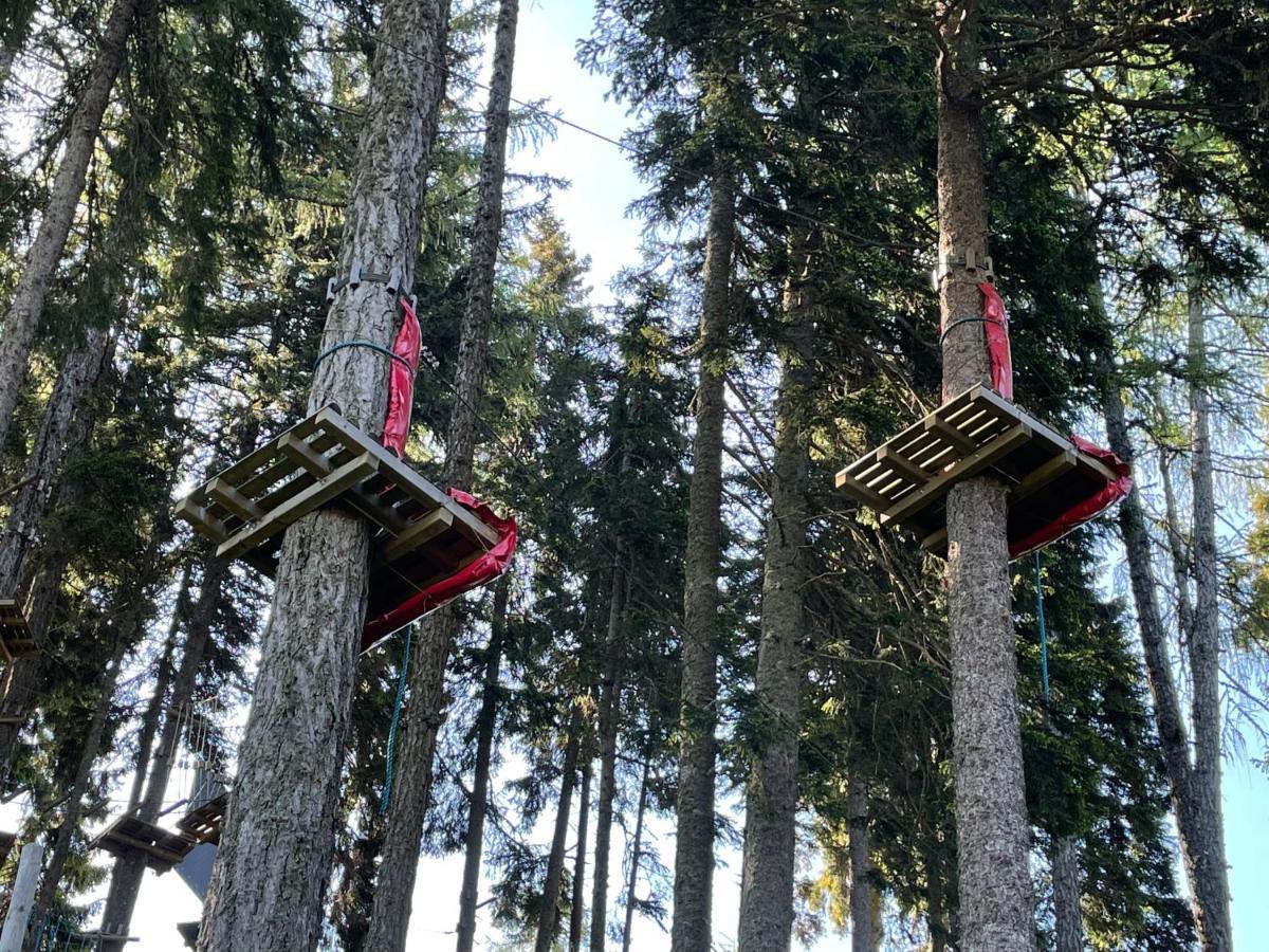 Hundefreundliche Bergwohnung Neben Der Skipiste - Mittelstation Skigebiet Gerlitzen Kanzelhohe Exteriér fotografie